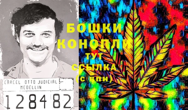 ПСИЛОЦИБИНОВЫЕ ГРИБЫ Вязники