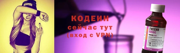ПСИЛОЦИБИНОВЫЕ ГРИБЫ Вязники