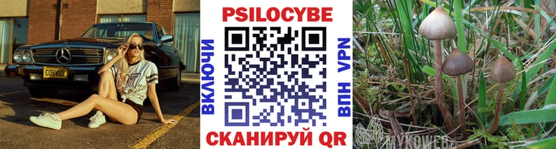 закладки  Заречный  Псилоцибиновые грибы Cubensis 
